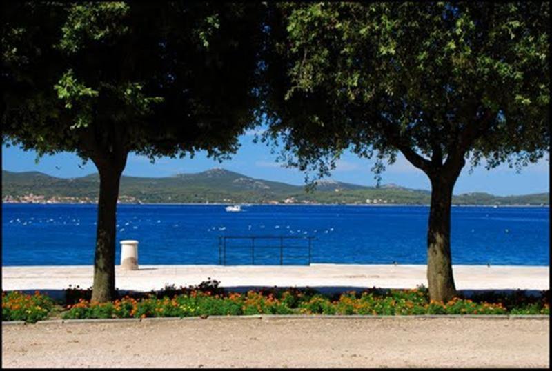 Guest Accommodation Neno Zadar Exteriör bild